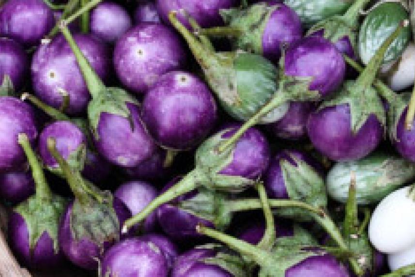 Photo: Basket of purple vegetables